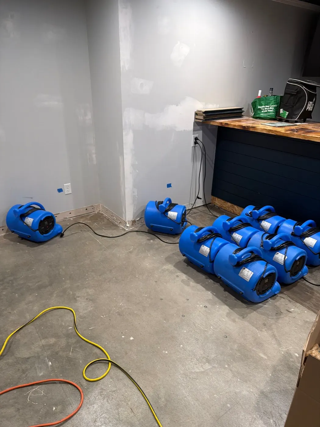 Category 3 sewage cleanup in Rockville basement